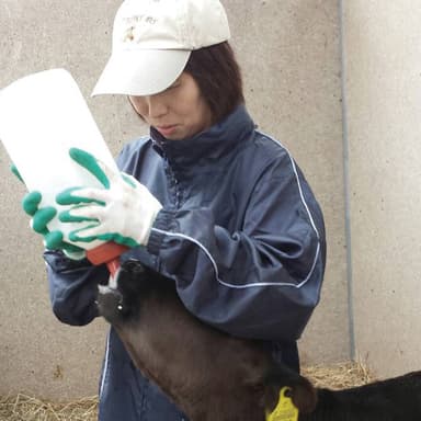黒毛和牛を生産している佐藤さん