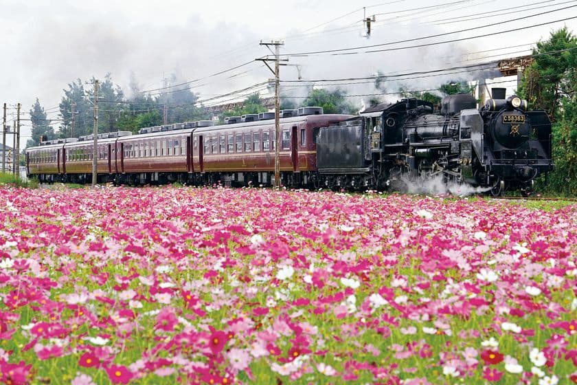 10月運行SLパレオエクスプレスのSL車内イベント　
コミュニティFMラジオ局「ちちぶエフエム」、
羽生市とのコラボイベントを実施　
～10/2(土)　SL PALEO GELATO　秋限定フレーバー登場も～