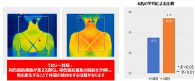 うなじ～首筋