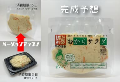 進化イメージ