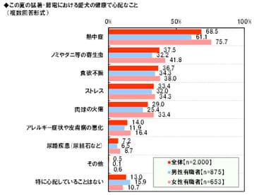 この夏の愛犬の健康で心配なこと