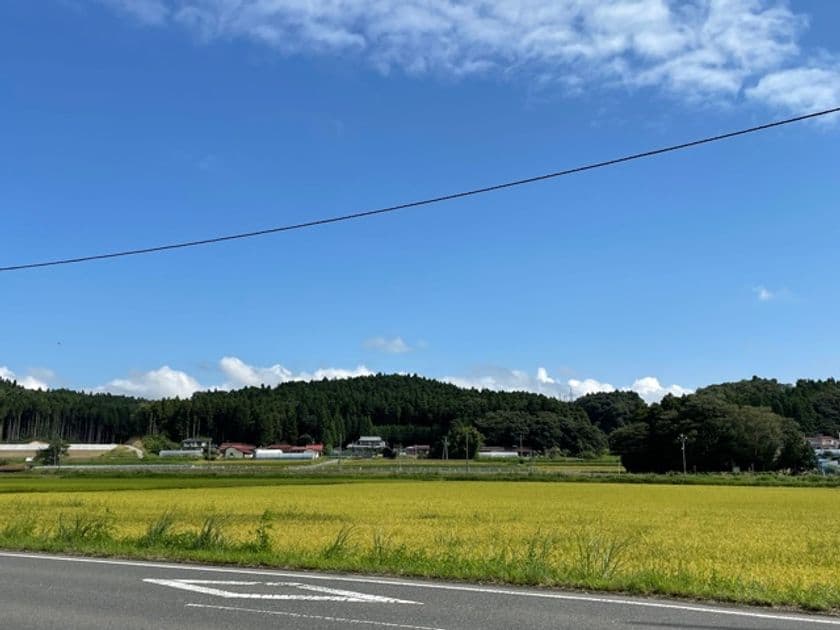 宮城県唯一の村の、田園カフェが本格始動！
～“何もない”が新しいカフェ～