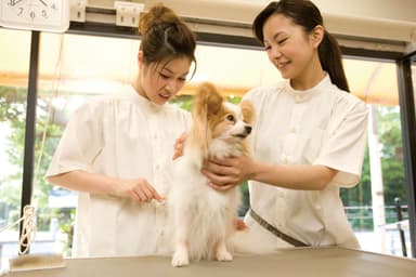 ペットを愛する人が、ペットを支える人に