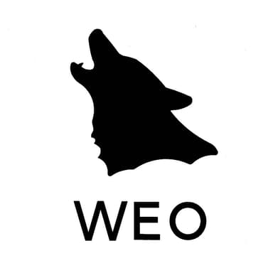 WAKOstore logo