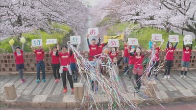 クラッカーから始まるパレードムービー
