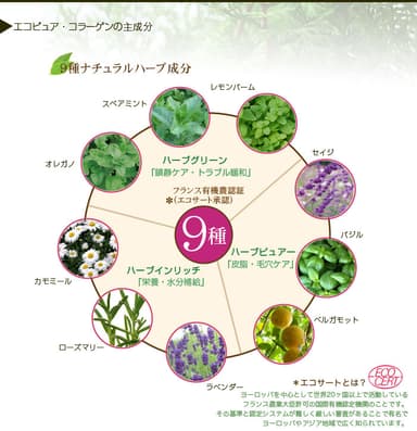 エコサート認証成分