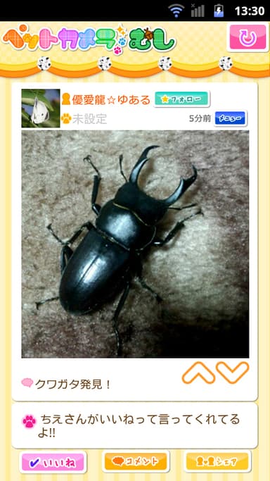 ペットカメラ むし