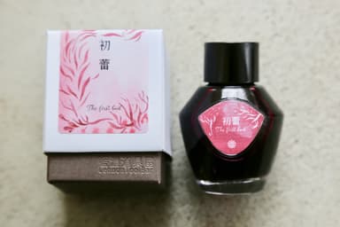 「初蕾」画像