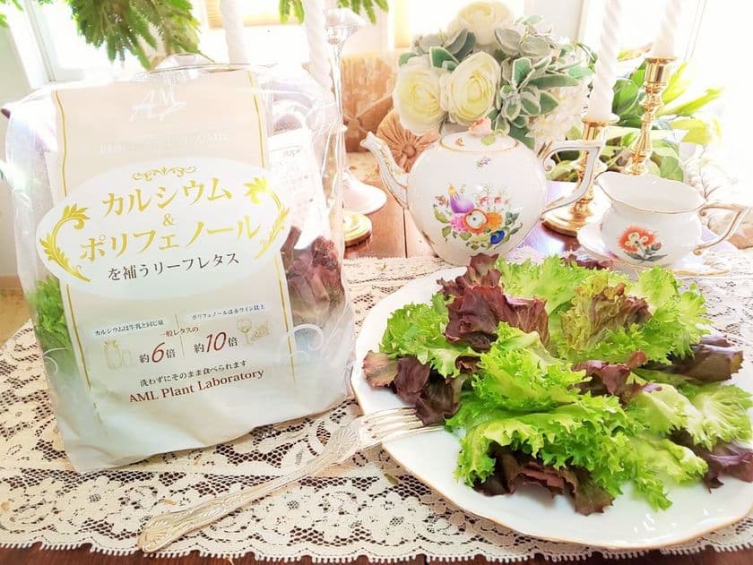 手軽に美味しくカルシウムとポリフェノールを補給できる、
栄養と彩り豊かなミックス水耕栽培レタスが2022年1月に発売！