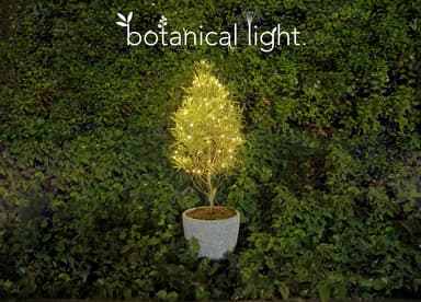 botanical light(ボタニカルライト)