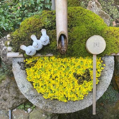 季節の花手水6
