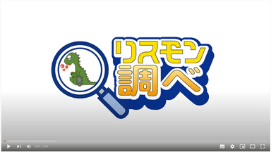 リスモン調べ動画キャプチャ