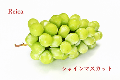 Reica「シャインマスカット」