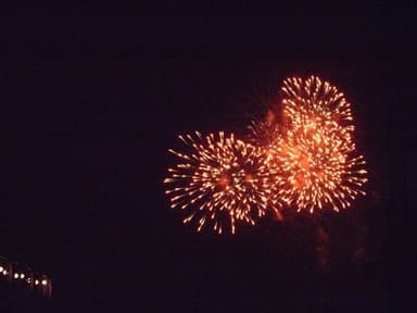 交流会会場から見える花火