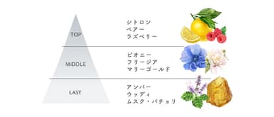香り＜リッチ＞