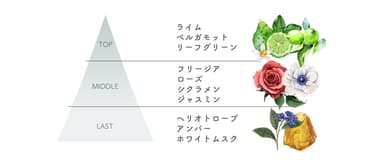 香り＜ライト＞