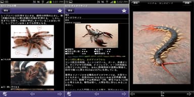 【詳細ページ(1)】【詳細ページ(2)】【フォトギャラリー】