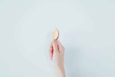 イメージ画像15