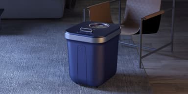 本体