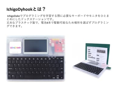 IchigoDyhookとは