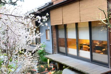 治作個室　桜装飾イメージ
