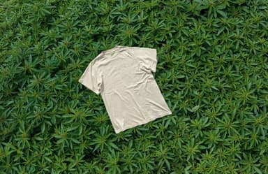 hemp Tee image