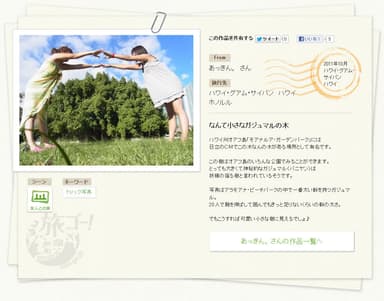 投稿写真一例