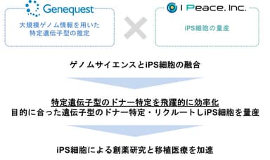本発表における概要図