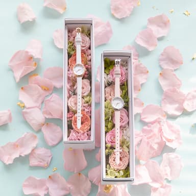 SPRING GIFT