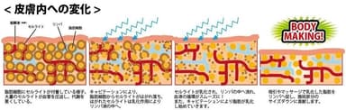 乳化の仕組み