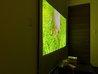 ロールスクリーンに投影。約80インチ