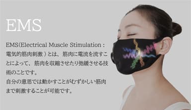 EMSについて