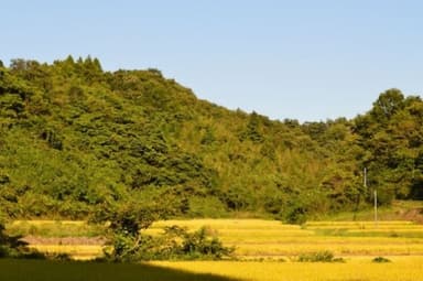 宮城県丸森町