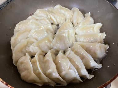 千葉ヴィーガン餃子