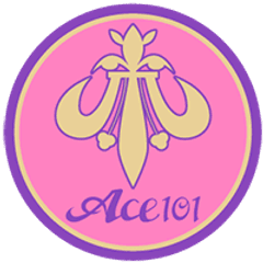 株式会社Ace101