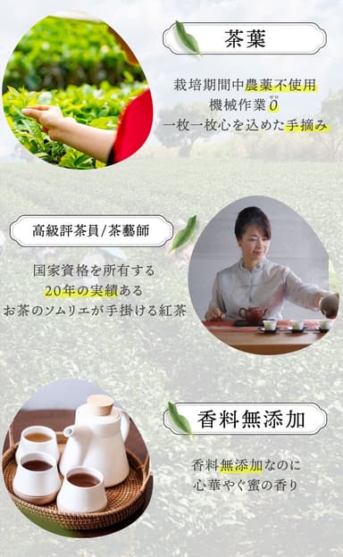 お茶のソムリエに値する高級評茶員の選定茶葉をお試しください