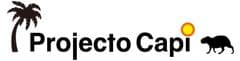 Projecto Capi