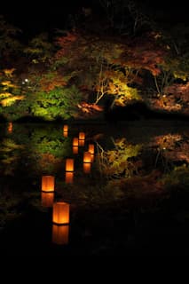 紅葉と浮灯篭