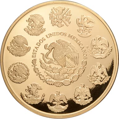 1kg金貨表面