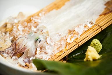夏の風物詩「活イカ」姿造り