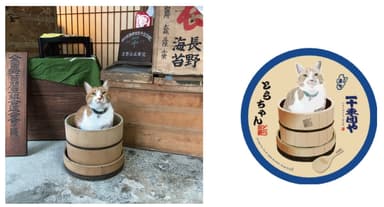 一十東団や　招き猫店長「とらちゃん」と招福シール