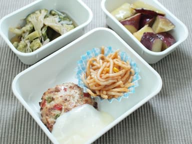 腎臓病の方向けのお弁当