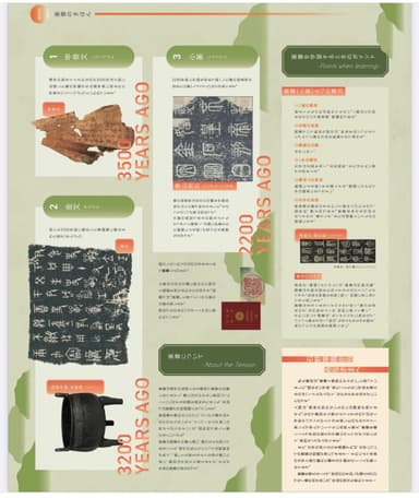Image (12)