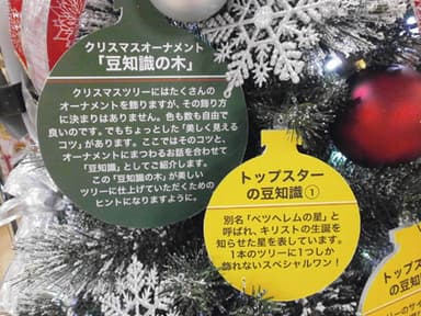 池袋店「豆知識の木」