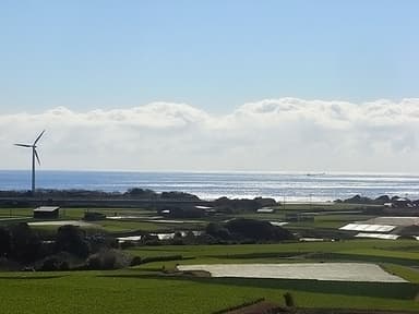 三浦の畑遠景