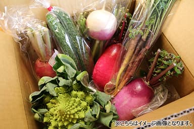 商品イメージ