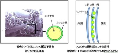 カプセル構造・マスク構造