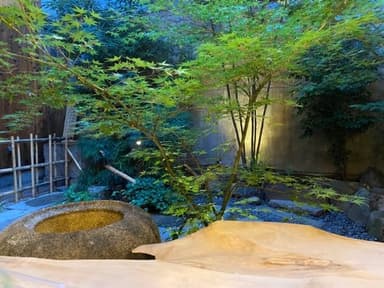 夜のお庭