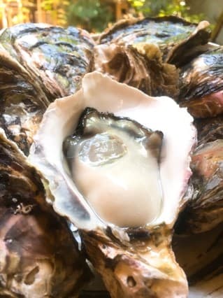 生牡蠣
