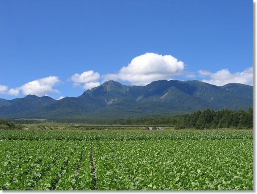 長野県南牧村「道・山・星・農」のイベントを6/30より開催　
「好きにいこうｍｍｍ」7/2にはオープニングセレモニーも実施